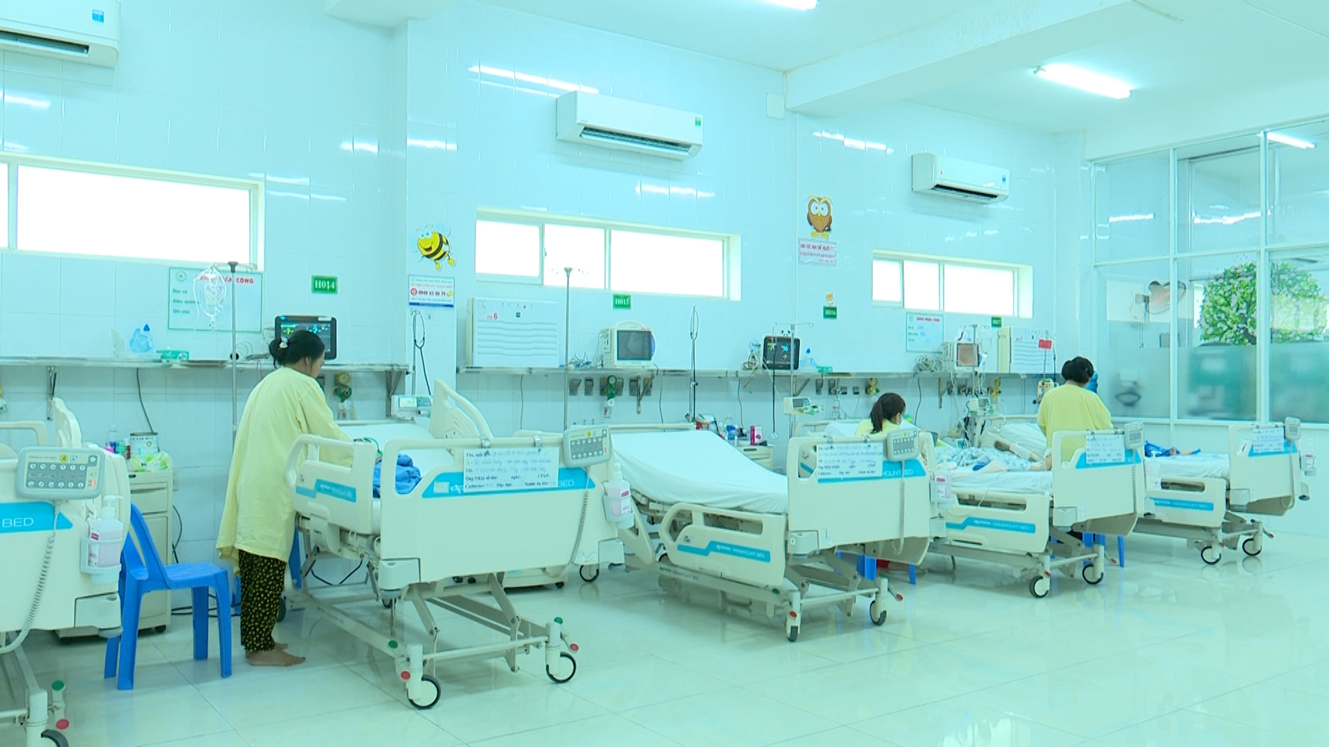 Dịch Tay chân miệng tăng mạnh, cảnh báo chủng virus EV71 nguy hiểm